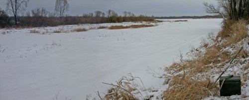 Ryb_03.12.2014-1.jpg