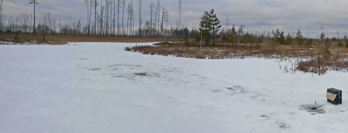 Ryb_05.12.2014-1.jpg