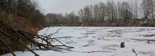Ryb_07.12.2014-1.jpg