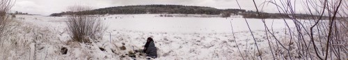 Panorama_Z.jpg