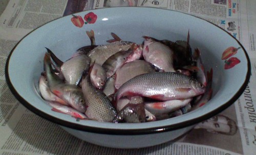 Itogo-11_12_2010.jpg