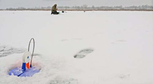 Ryb_12.12.2014-3.jpg