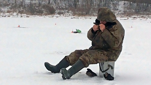 Ryb_12.12.2014-2.jpg