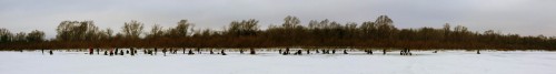 Ryb_13.12.2014-1.jpg