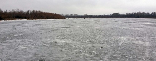 Ryb_19.12.2014-1.jpg