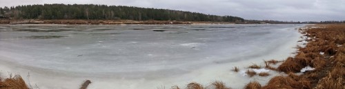 Ryb_21.12.2014-1.jpg