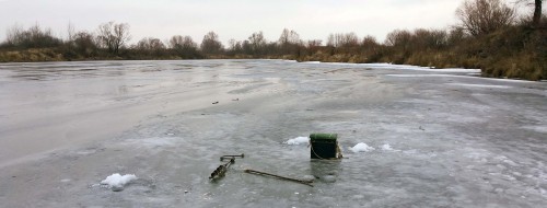 Ryb_21.12.2014-2.jpg