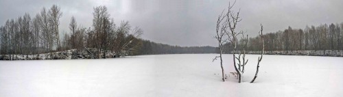 Ryb_23.12.2014-1.jpg