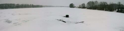 Ryb_23.12.2014-2.jpg