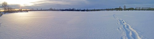 Ryb_27.12.2014-3.jpg