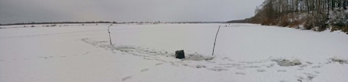 Ryb_04.01.2015-1.jpg