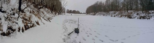 Ryb_04.01.2015-3.jpg