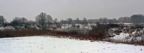 Ryb_04.01.2015-4.jpg
