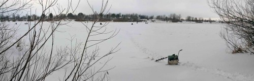 Ryb_10.01.2015-2.jpg