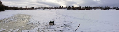 Ryb_12.01.2015-1.jpg