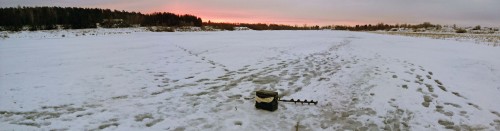 Ryb_17.01.2015-1.jpg