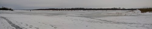 Ryb_17.01.2015-2.jpg