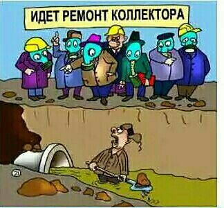 рем кол.jpg
