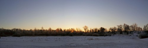 Ryb_21.01.2015-1.jpg