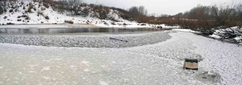 Ryb_24.01.2015-1.jpg