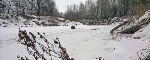 Ryb_24.01.2015-2.jpg