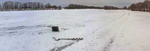 Ryb_24.01.2015-3.jpg