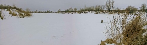 Ryb_27.01.2015-1.jpg