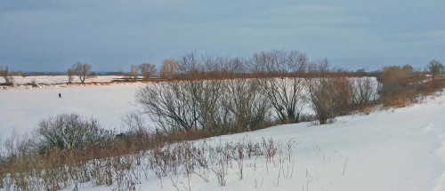 Ryb_30.01.2015-4.jpg