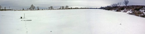 Ryb_30.01.2015-5.jpg