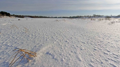 Ryb_06.02.2015-1.jpg
