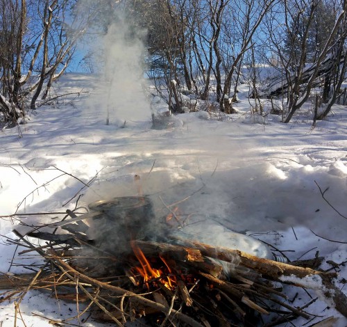 Ryb_06.02.2015-2.jpg