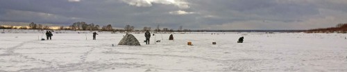Ryb_09.02.2015-5.jpg
