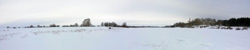 Ryb_11.02.2015-1.jpg