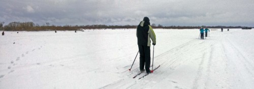 Ryb_15.02.2015-2.jpg