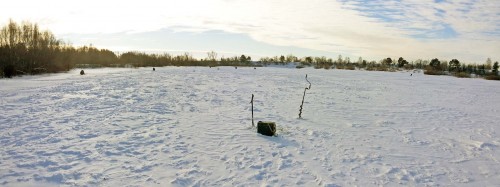Ryb_17.02.2015-2.jpg