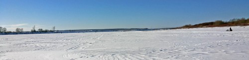 Ryb_17.02.2015-3.jpg