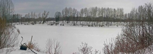 Ryb_19.02.2015-3.jpg