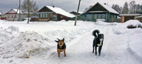 Ryb_19.02.2015-6.jpg