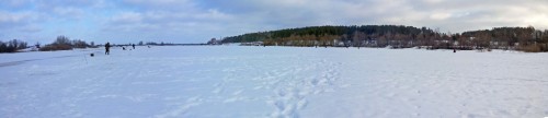 Ryb_21.02.2015-1.jpg