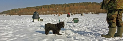 Ryb_21.02.2015-2.jpg