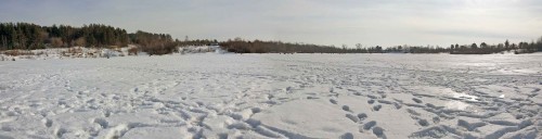 Ryb_22.02.2015-1.jpg