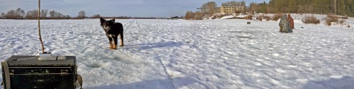 Ryb_24.02.2015-2.jpg