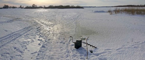 Ryb_24.02.2015-3.jpg