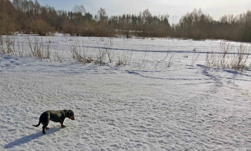 Ryb_24.02.2015-5.jpg