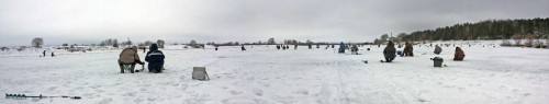 Ryb_28.02.2015-1.jpg