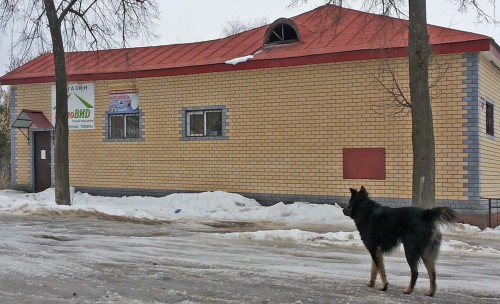 Ryb_28.02.2015-3.jpg