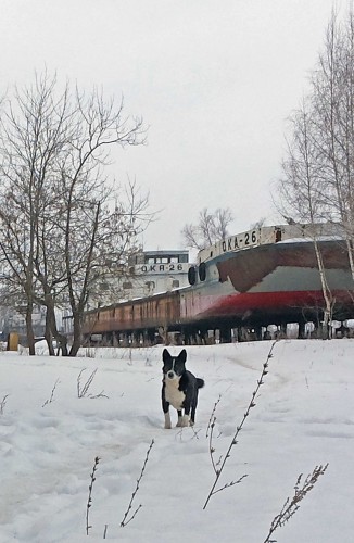 Ryb_02.03.2015-3.jpg