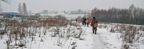 Ryb_12.03.2015-1.jpg