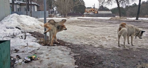 Ryb_12.03.2015-4.jpg