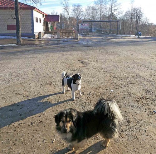 Ryb_18.03.2015-4.jpg